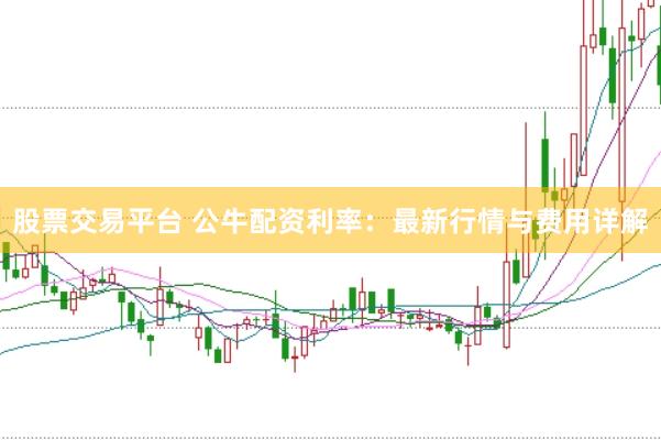 股票交易平台 公牛配资利率：最新行情与费用详解