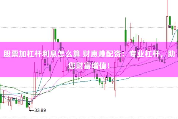 股票加杠杆利息怎么算 财恵赚配资：专业杠杆，助您财富增值！