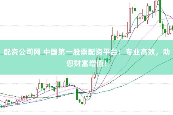 配资公司网 中国第一股票配资平台：专业高效，助您财富增值！