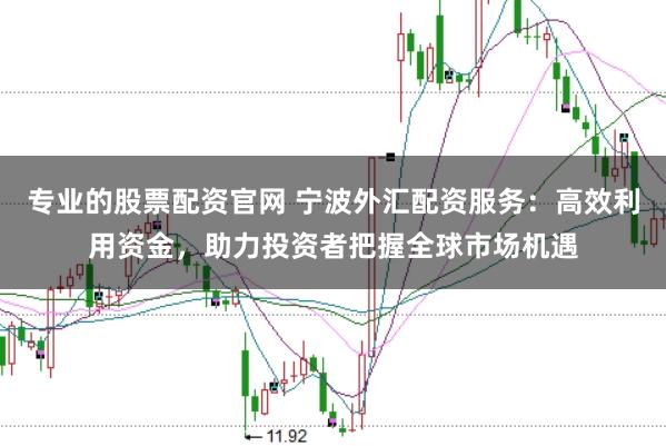 专业的股票配资官网 宁波外汇配资服务：高效利用资金，助力投资者把握全球市场机遇