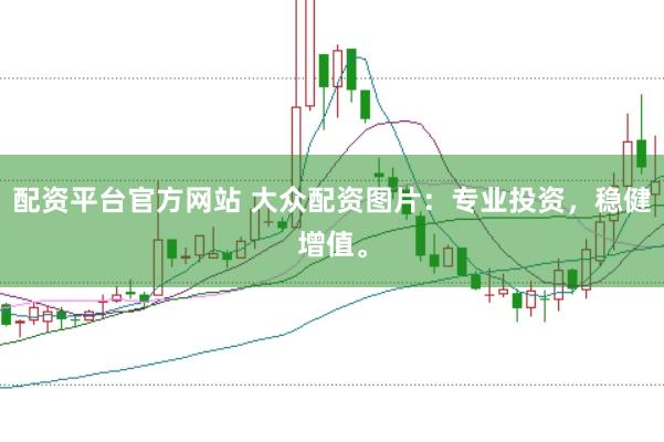 配资平台官方网站 大众配资图片：专业投资，稳健增值。