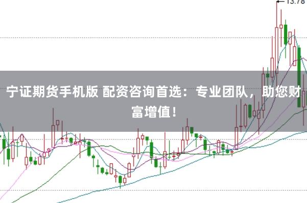 宁证期货手机版 配资咨询首选：专业团队，助您财富增值！