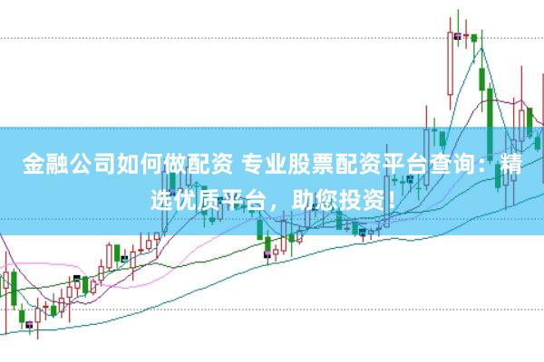 金融公司如何做配资 专业股票配资平台查询:精选优质平台,助您投资!