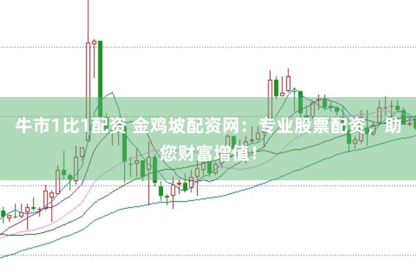 牛市1比1配资 金鸡坡配资网：专业股票配资，助您财富增值！