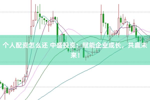 个人配资怎么还 中盛投资：赋能企业成长，共赢未来！