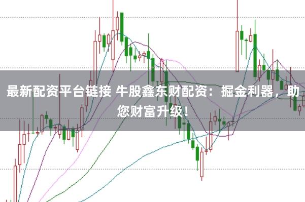 最新配资平台链接 牛股鑫东财配资：掘金利器，助您财富升级！