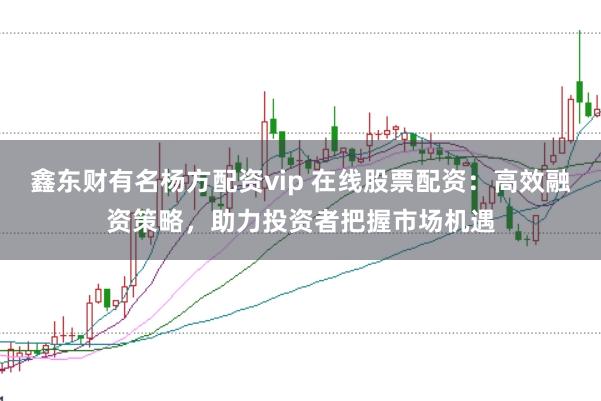 鑫东财有名杨方配资vip 在线股票配资:高效融资策略,助力投资者把握市场机遇