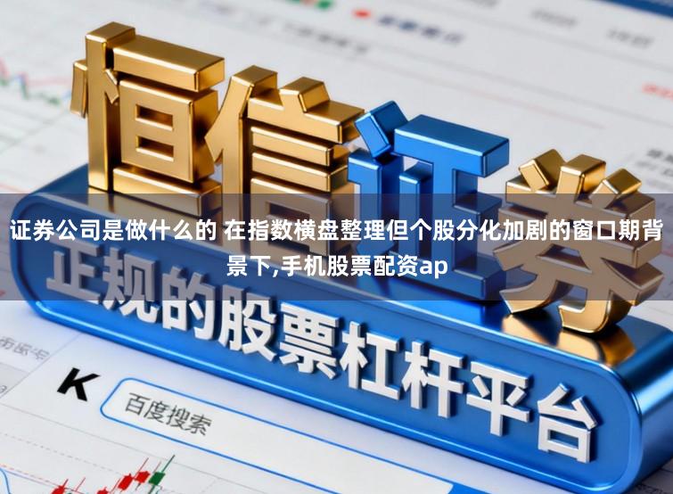 证券公司是做什么的 在指数横盘整理但个股分化加剧的窗口期背景下，手机股票配资ap