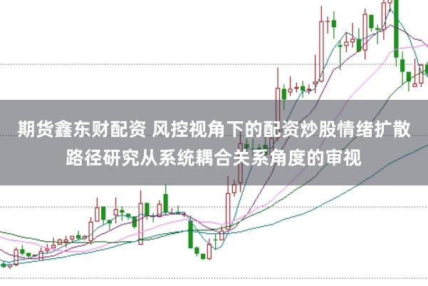 期货鑫东财配资 风控视角下的配资炒股情绪扩散路径研究从系统耦合关系角度的审视