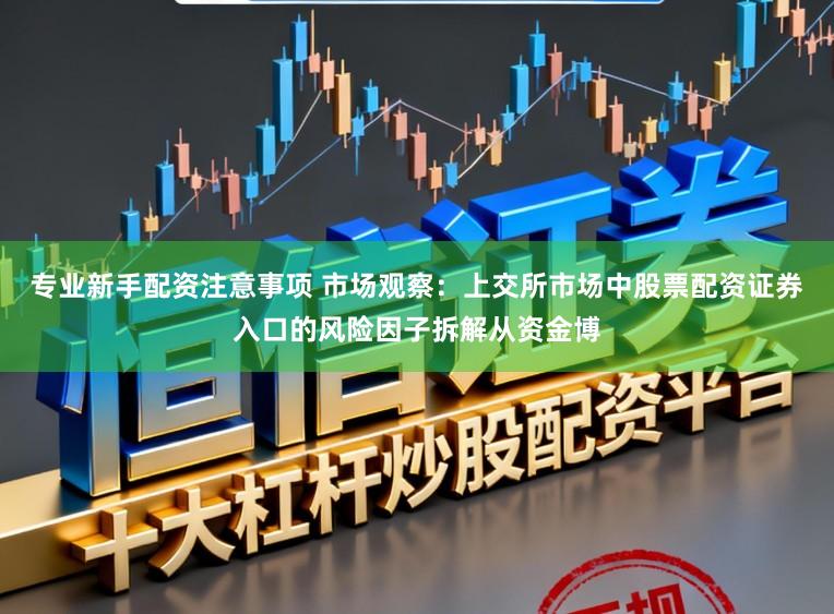 专业新手配资注意事项 市场观察:上交所市场中股票配资证券入口的风险因子拆解从资金博