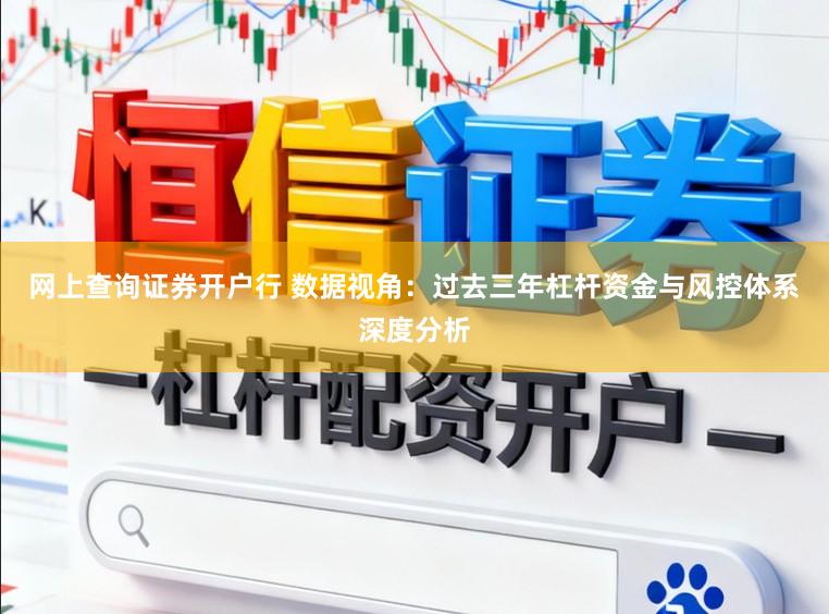 网上查询证券开户行 数据视角：过去三年杠杆资金与风控体系深度分析
