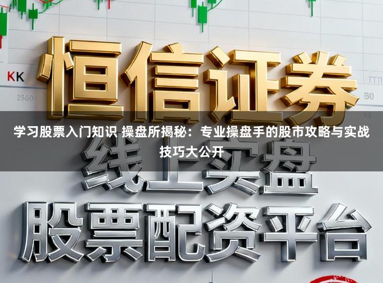 学习股票入门知识 操盘所揭秘：专业操盘手的股市攻略与实战技巧大公开