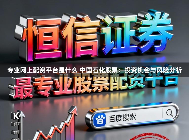 专业网上配资平台是什么 中国石化股票:投资机会与风险分析